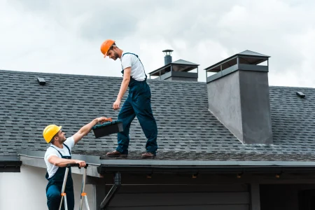 shingle roofing